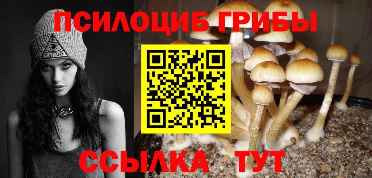 Анапа  Псилоцибиновые грибы ЛСД  Вход с VPN  Галлюциногенные грибы Psilocybine cubensis 